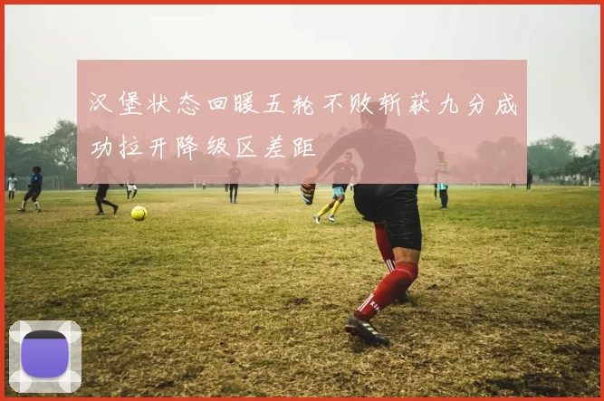 汉堡状态回暖五轮不败斩获九分成功拉开降级区差距